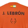 Babolat Replica J.Lebron Ανδρική Μπλούζα, Μέγεθος: L, 5 image