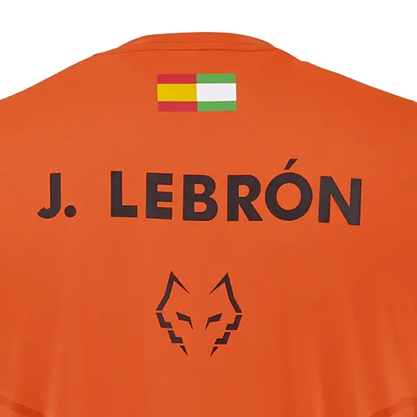 Babolat Replica J.Lebron Ανδρική Μπλούζα, Μέγεθος: L, 5 image